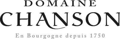 Logo Domaine Chanson
